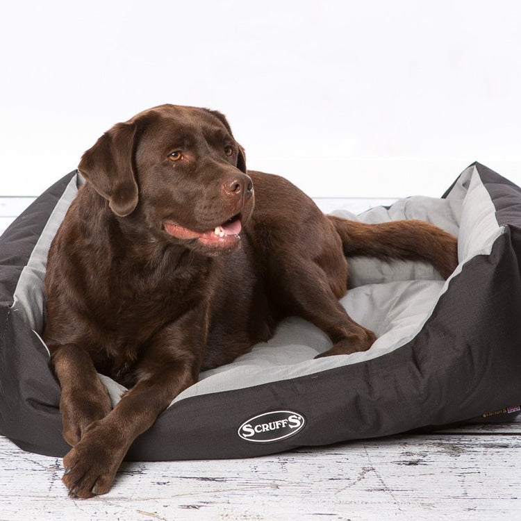 Scruffs Expedition Water Resistant Box Dog Bed - Graphite