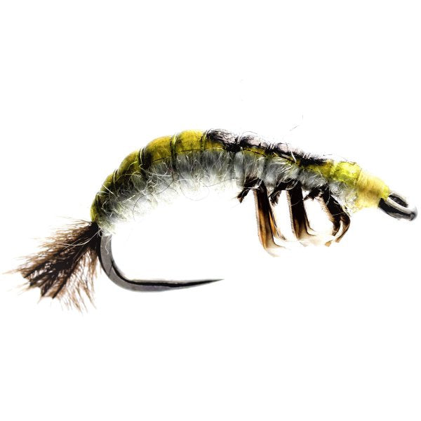 Czech Nymph Hydropsyche Larva Flies