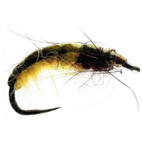 Czech Nymph Olive Flies