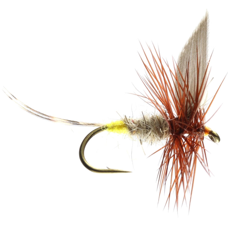 Hares Ear Winged Dry Flies