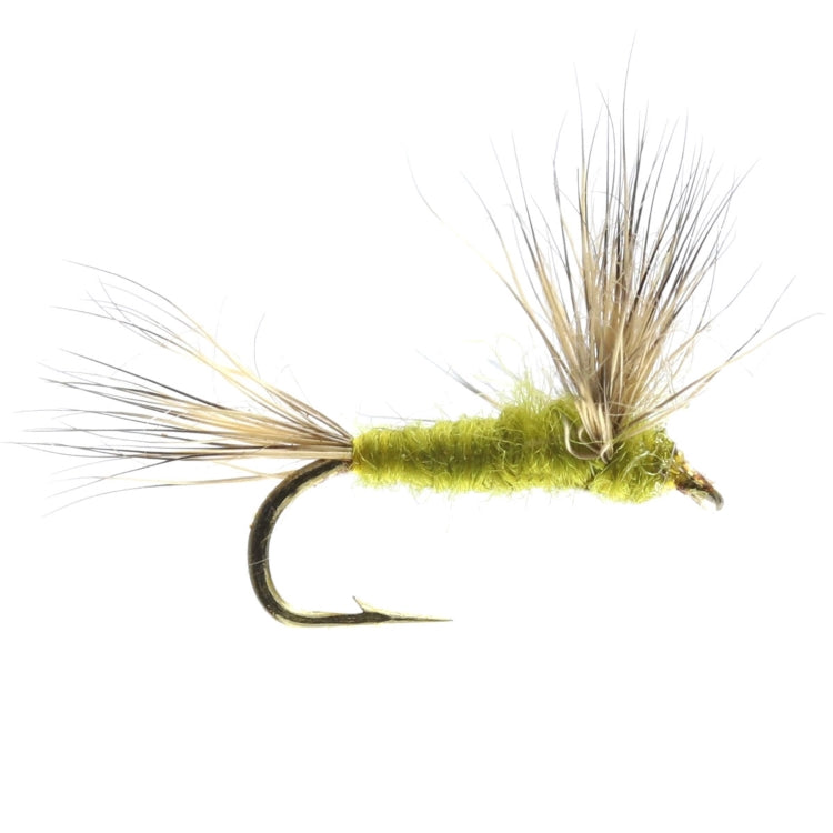 Olive Compara Dun Flies