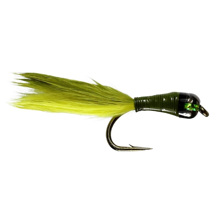 Olive Stalker Bug Flies