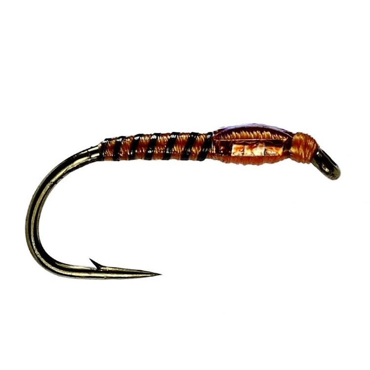 Copper Head Traffic Light Buzzer Flies