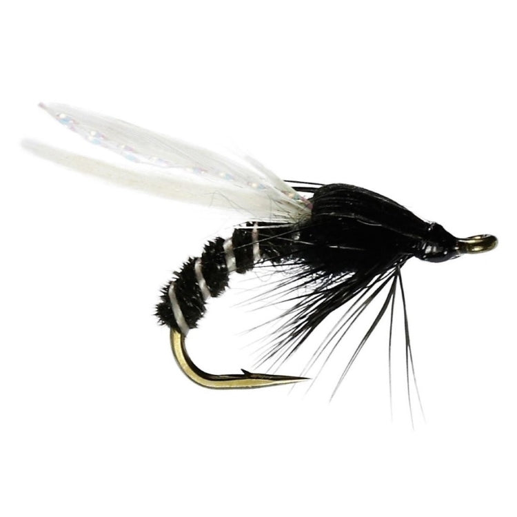 Black Adult Buzzer Flies