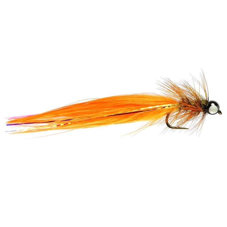 Orange Lap Dancer Flies