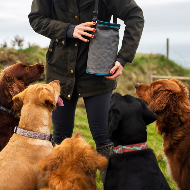 Henry Wag Dog Snack Pack Travel Food Bag