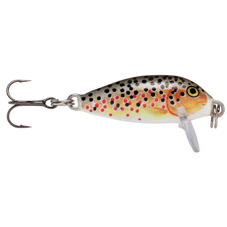 Rapala Countdown Lure - Sinking