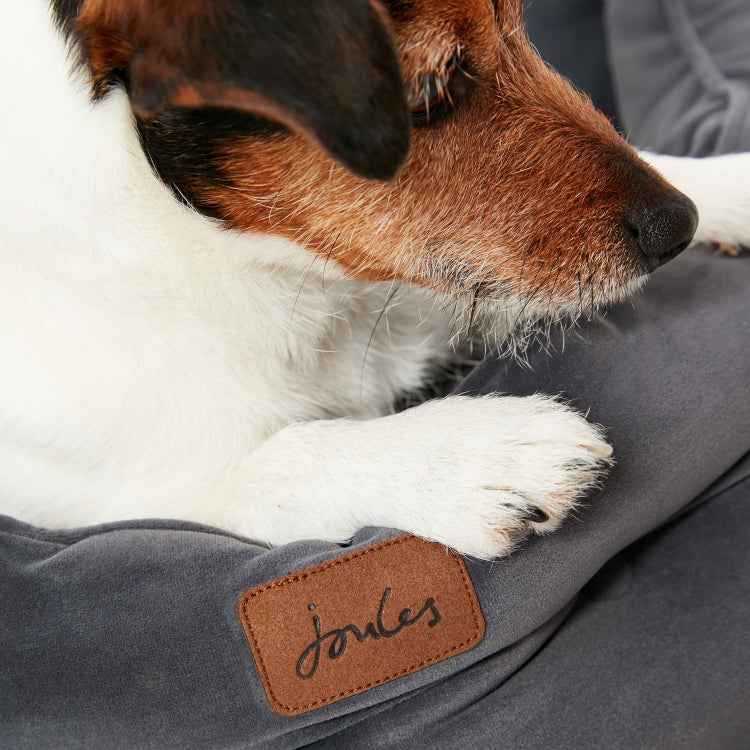 Joules Chesterfield Pet Bed Grey John Norris