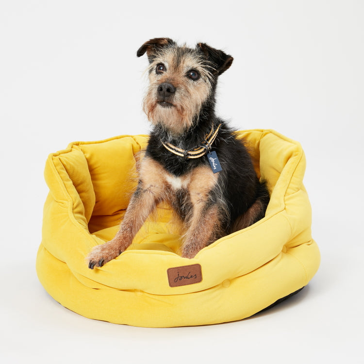 Joules Chesterfield Pet Bed - Yellow