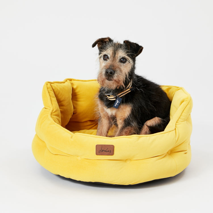Joules Chesterfield Pet Bed Yellow John Norris