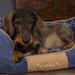 Scruffs Highland Box Dog Bed - Blue