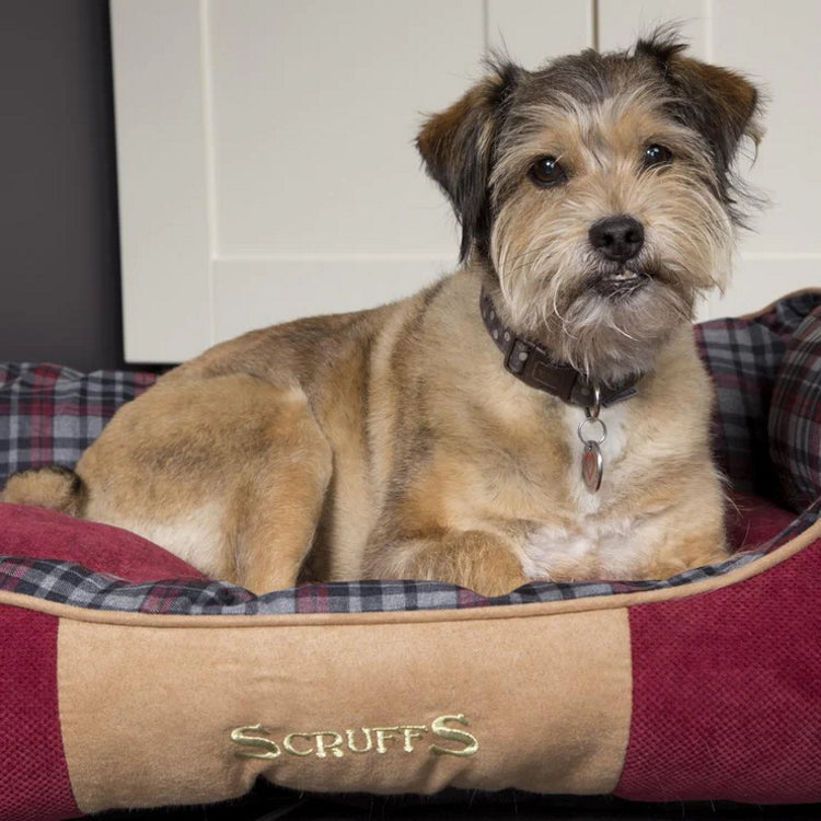 Scruffs Highland Box Dog Bed - Red