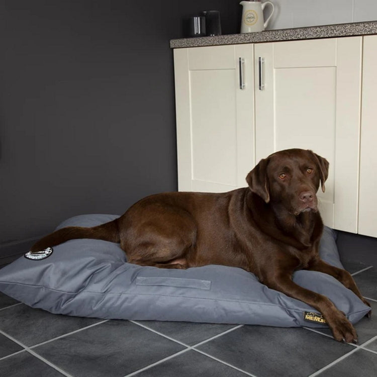 Scruffs Expedition Orthopaedic Pillow Dog Bed Blue John Norris