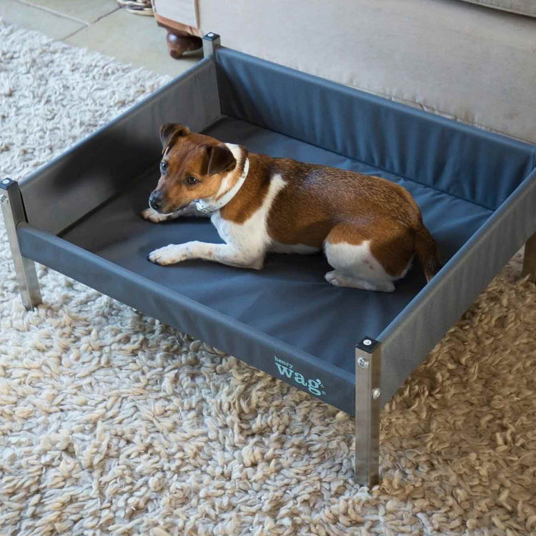 Henry Wag Elevated Dog Bed John Norris