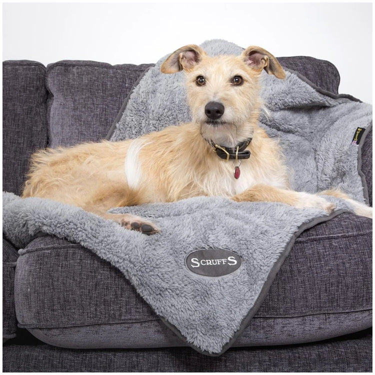 Scruffs Cosy Dog Blanket - Grey