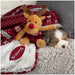 Scruffs Santa Paws Blanket and Reindeer Toy Gift Set - Burgundy