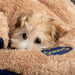 Scruffs Snuggle Dog Blanket - Blue