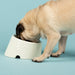 Scruffs Icon Slanted Dog Bowl - Cream
