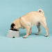 Scruffs Icon Slanted Dog Bowl - Light Grey