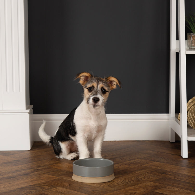 Scruffs Scandi Non Tip Dog Bowl - Grey