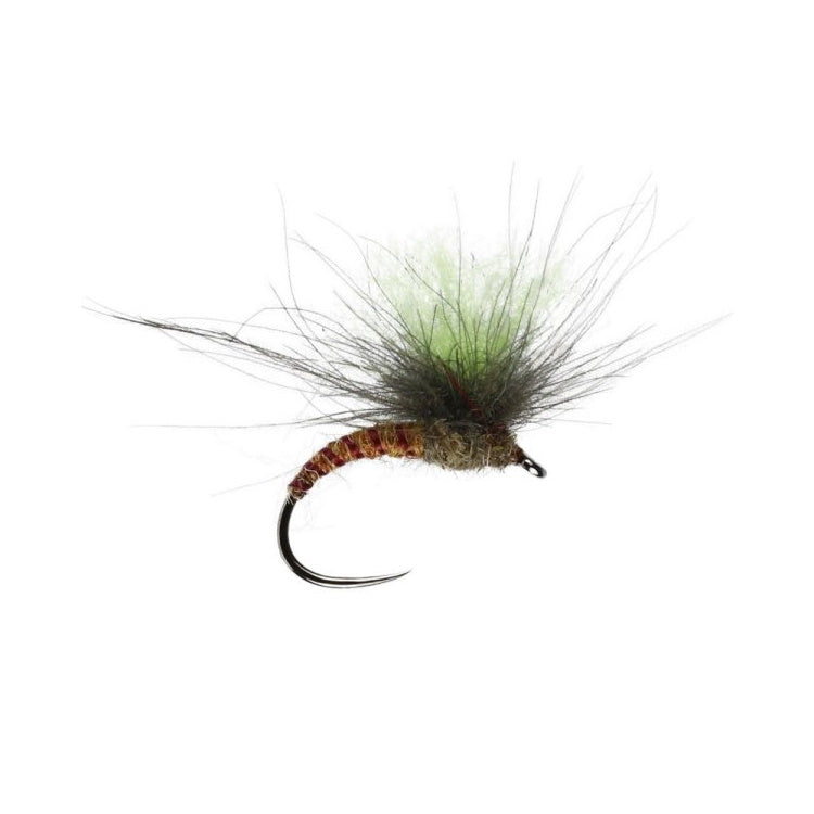 Fussy Spinner Winged Dry Flies