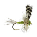 Adams Thorax Barbed Winged Dry Flies