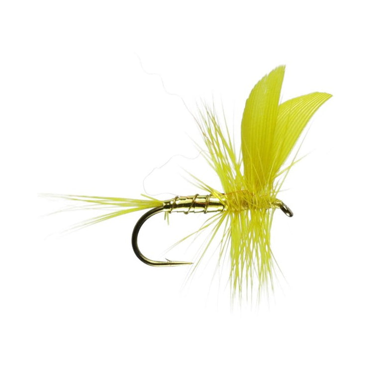 Golden Sally Barbed Winged Dry Flies