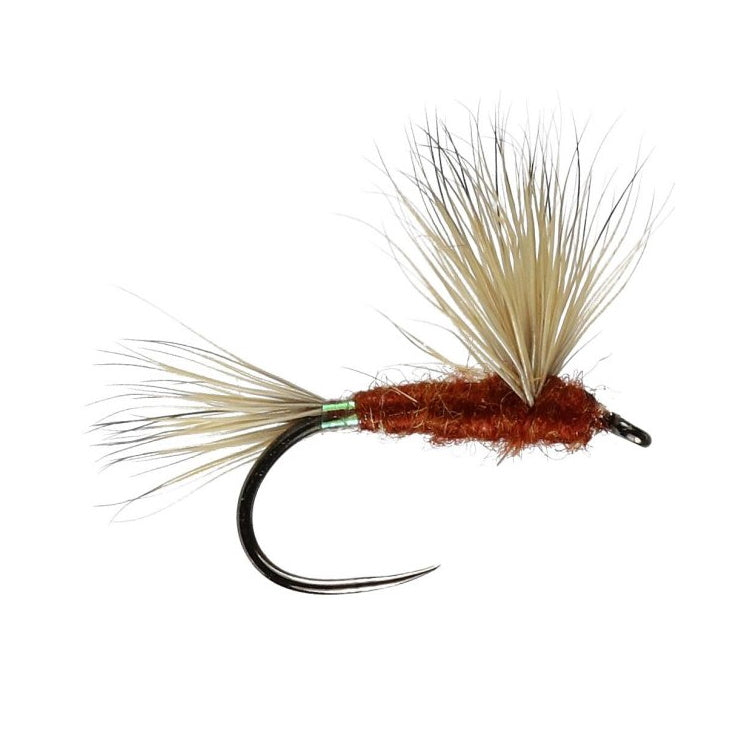 June Comparadon Winged Dry Flies