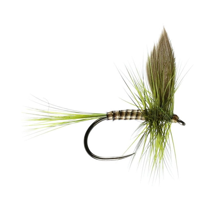Olive Dun Winged Dry Flies