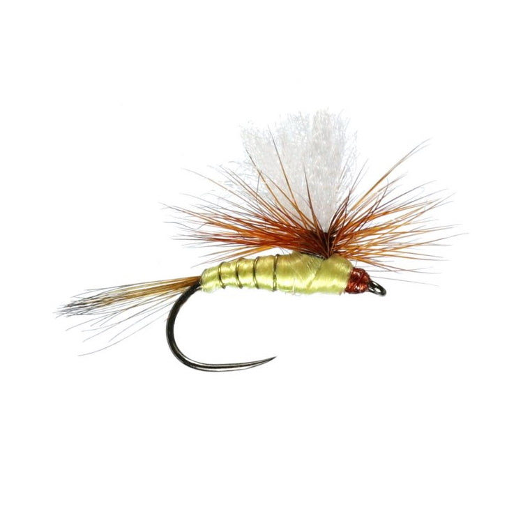 Parachute Greenwells Flies