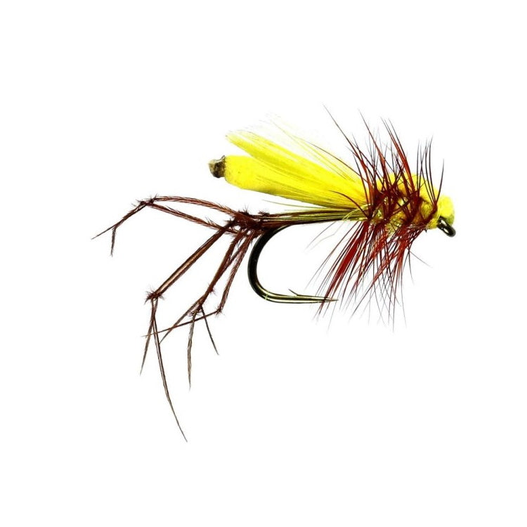 Yellow Daddy Flies