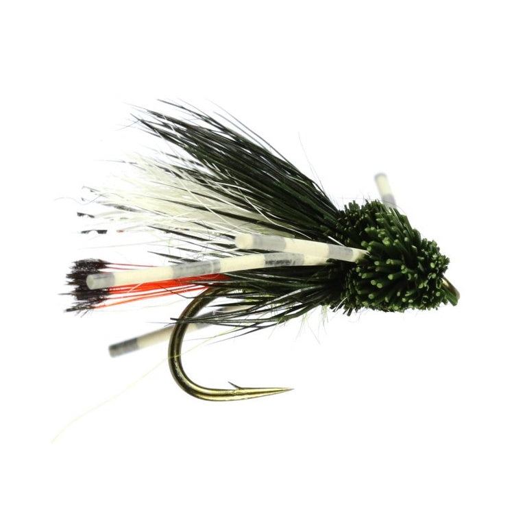 Turks Olive Tarantula Flies