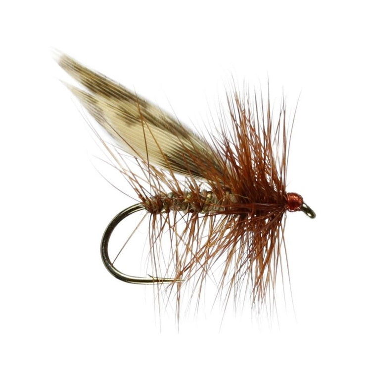 Brown Flag Sedge Flies