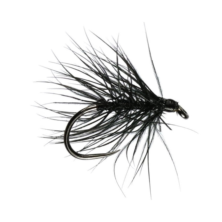Stu's Black Spider