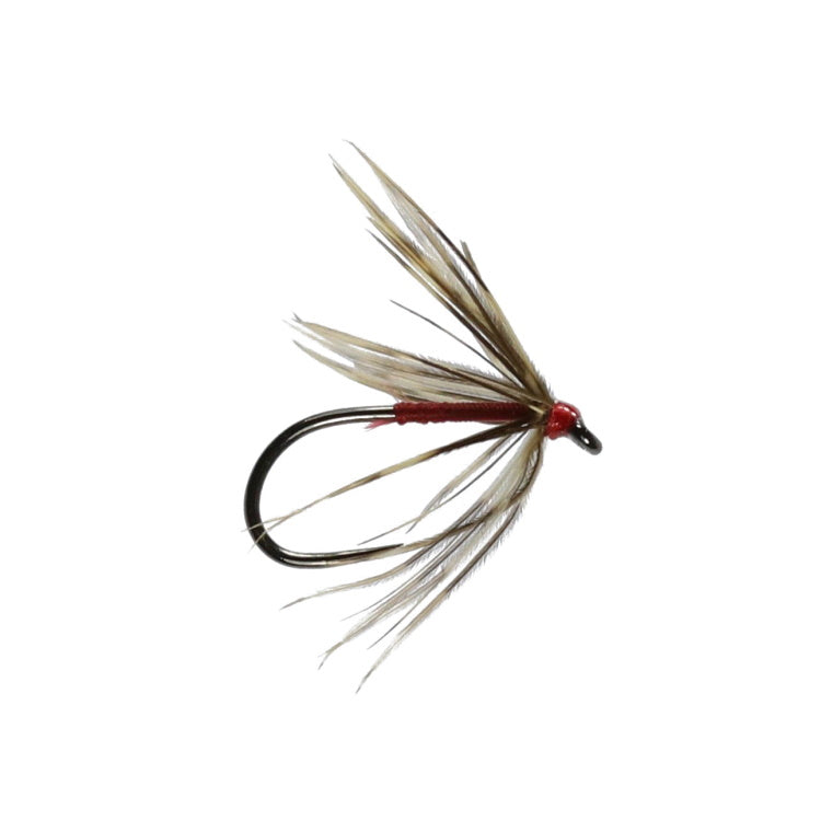 Woodcock and Red Spider