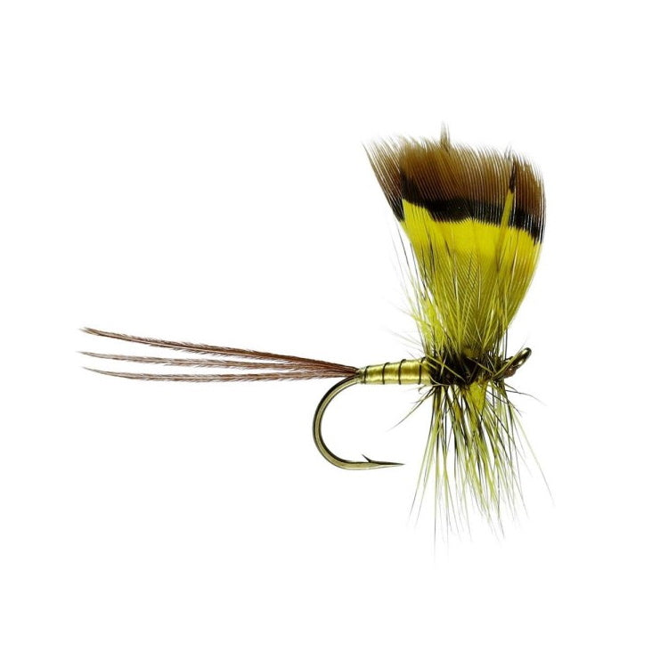 Conn Mayfly