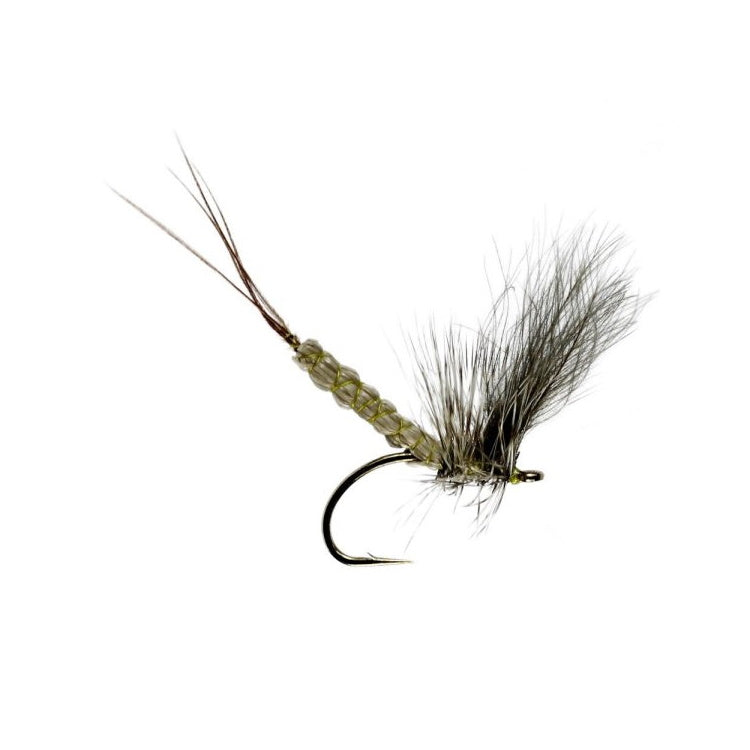 Detatched CDC Mayfly Dun Flies