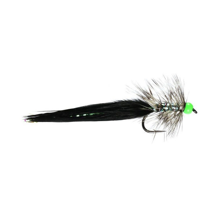 Black Dancer Fly