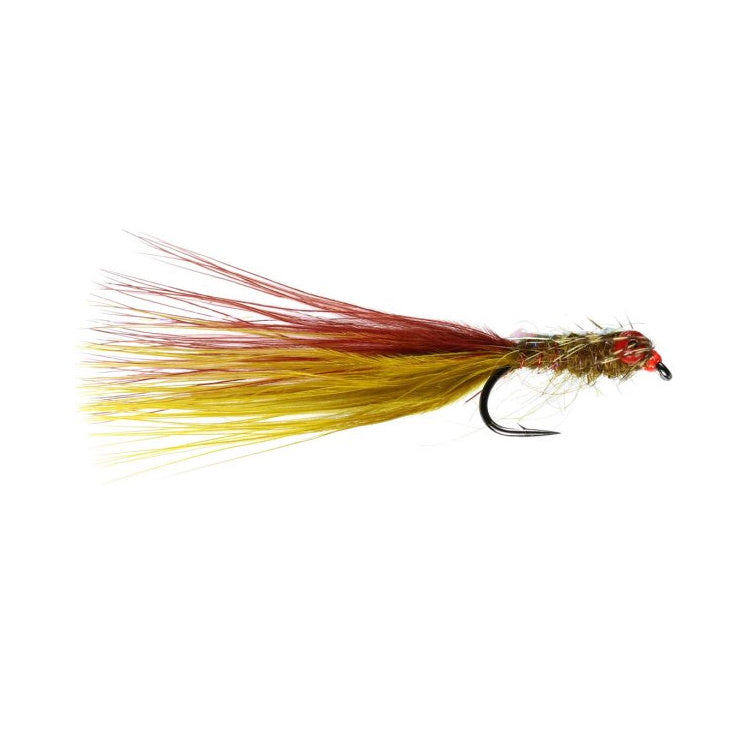 Brownie Devil Fly