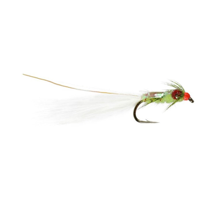 Cat Devil Fly