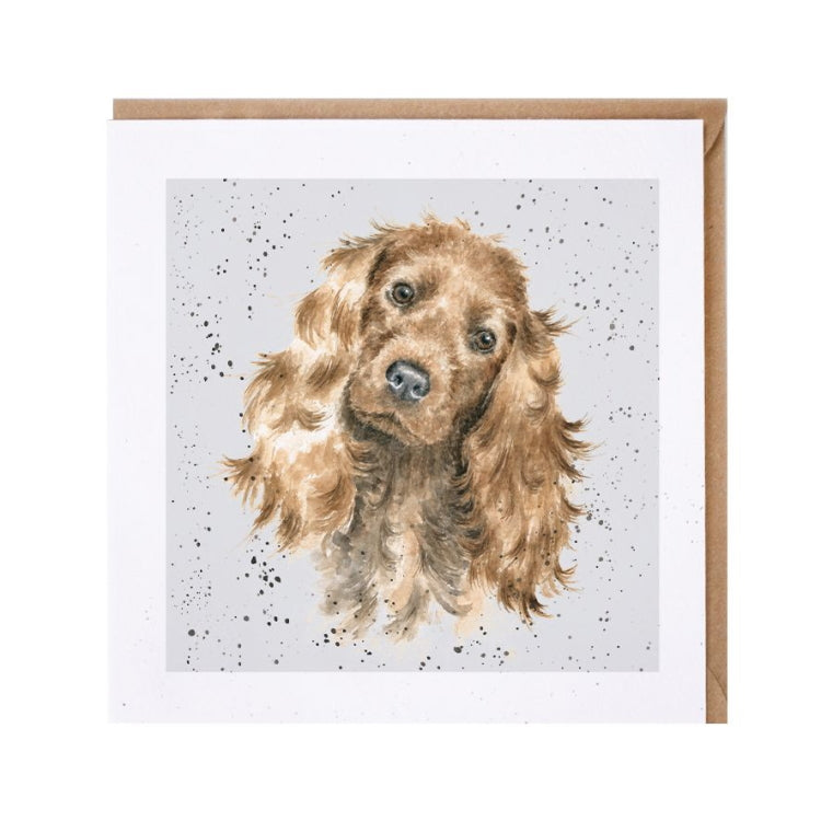 Wrendale Designs Tri Colour Cocker Spaniel Card