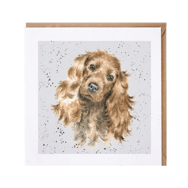 Wrendale Designs Tri Colour Cocker Spaniel Card