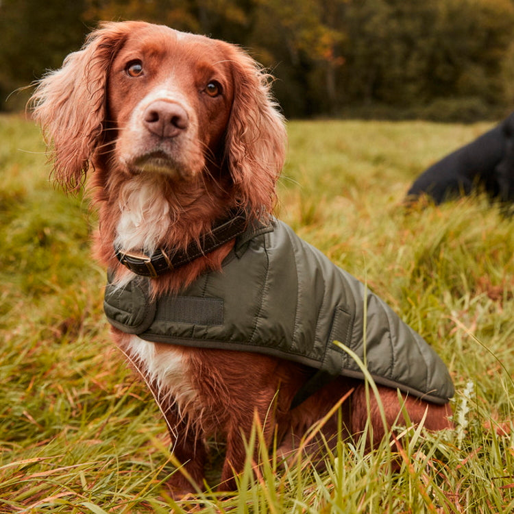 Barbour Baffle Quilt Dog Coat Olive John Norris
