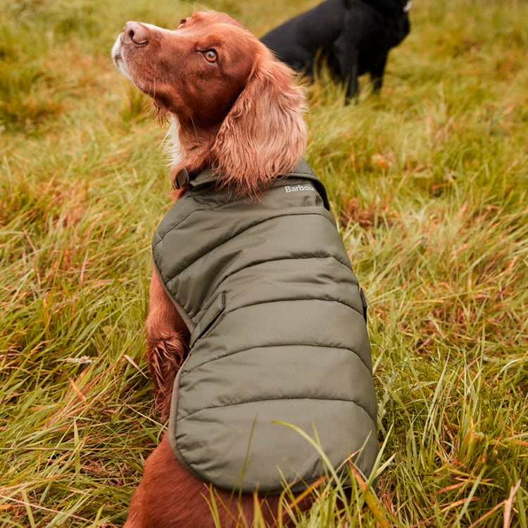Barbour Baffle Quilt Dog Coat Olive John Norris