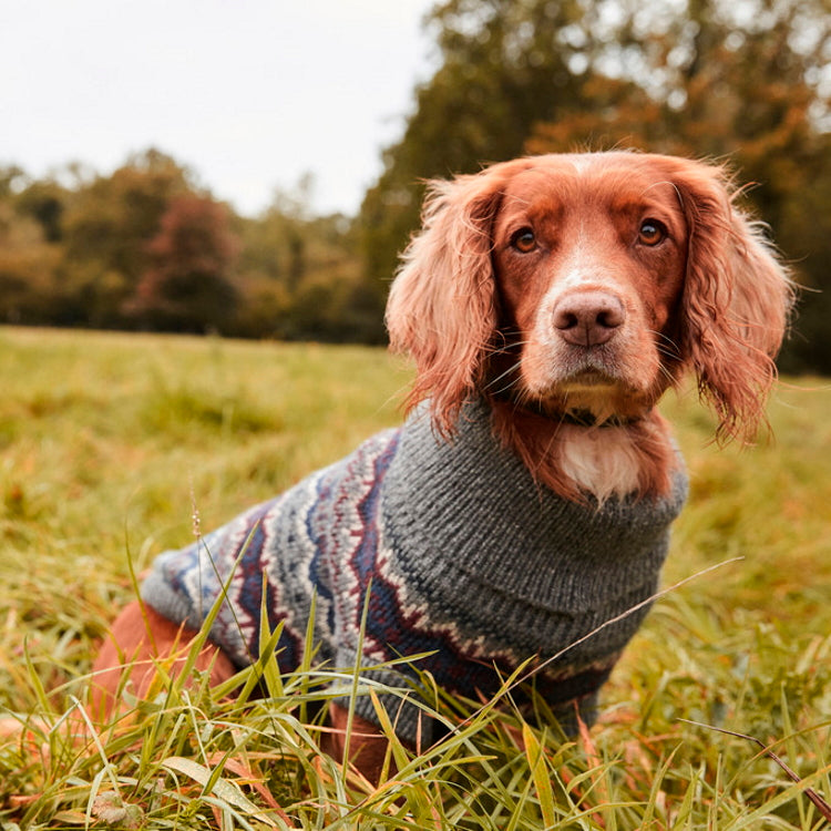 Barbour Case Fair Isle Dog Jumper