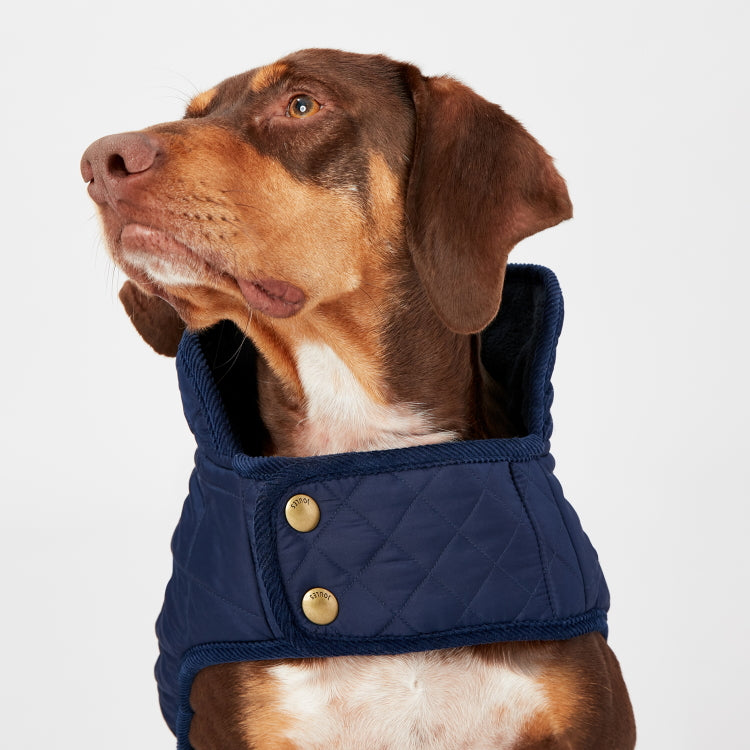 Joules Quilted Dog Coat Navy John Norris