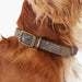 Barbour Tartan Dog Collar