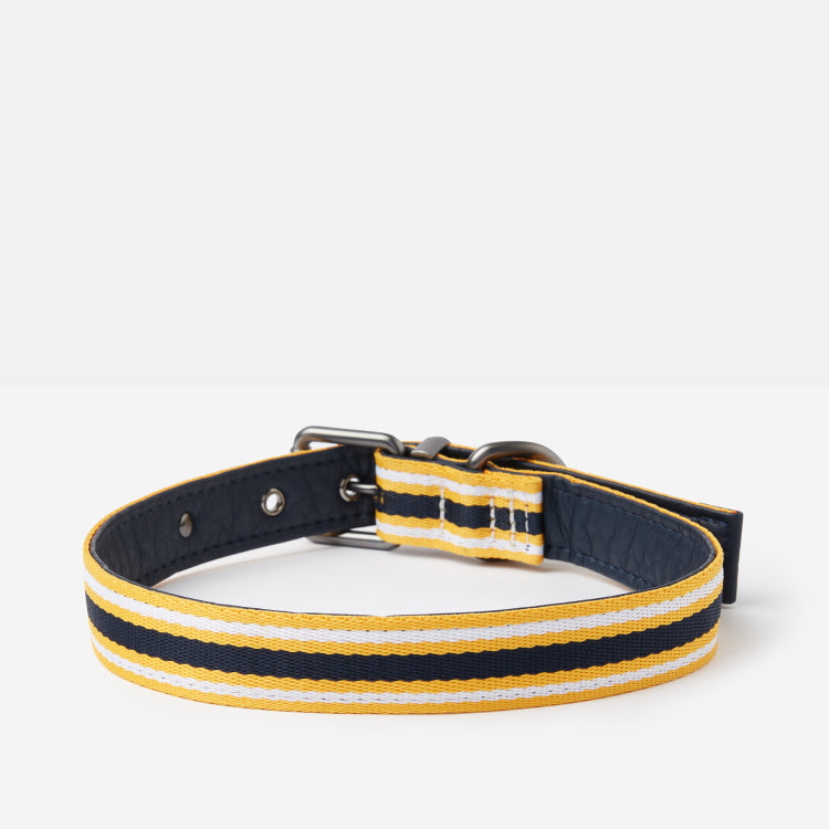 Joules Coastal Dog Collar - Yellow Stripe