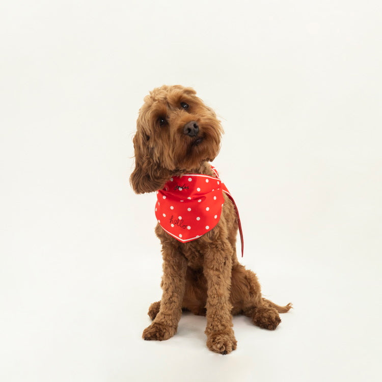 Joules Dog Neckerchief Collar - Red Hello Polka Dot