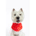 Joules Dog Neckerchief Collar - Red Hello Polka Dot